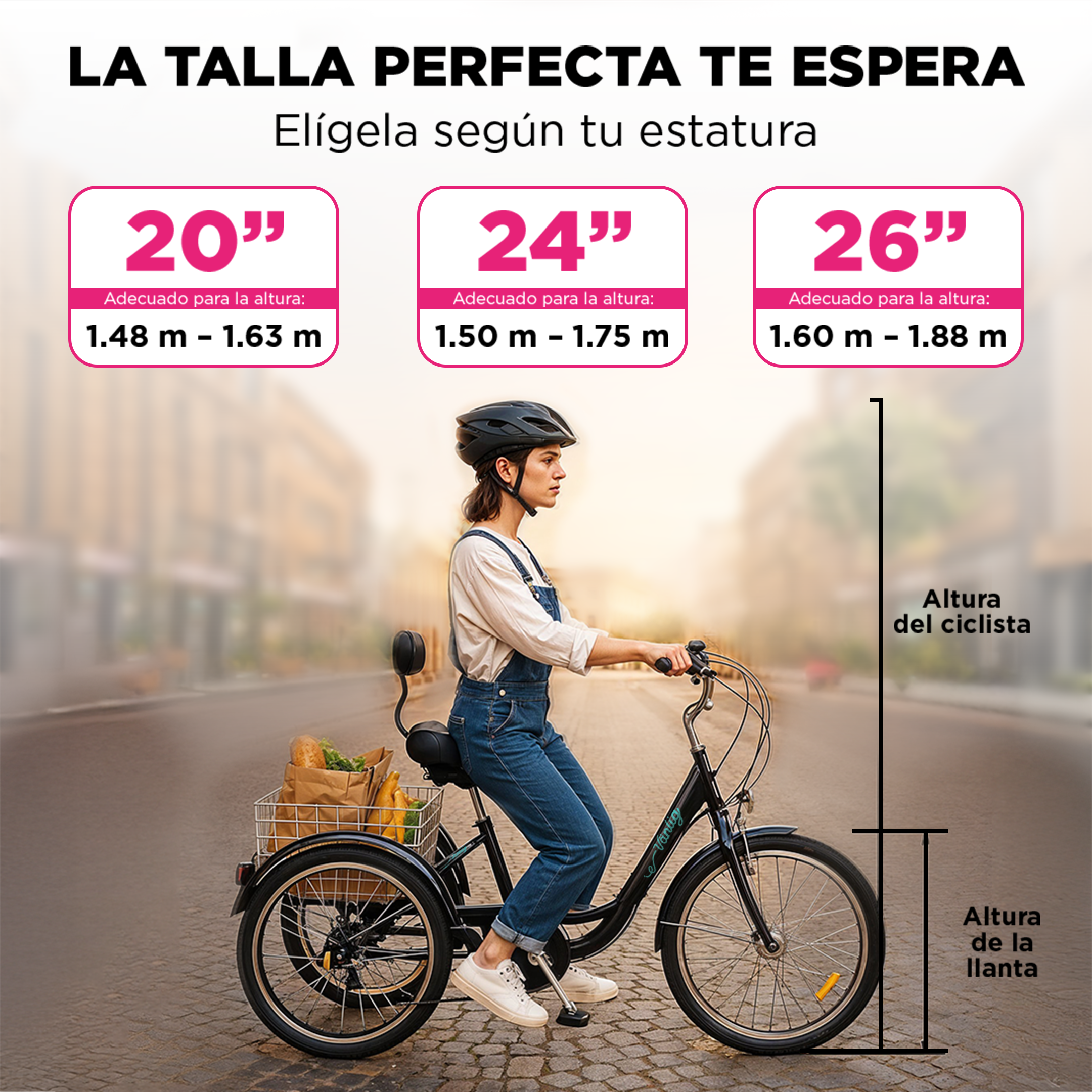 Bicicleta Triciclo para Adultos con Cesta | Cuadro 24" | Color Negro
